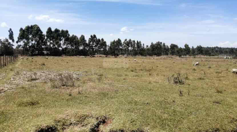 25 acre land for sale in upper elgon view dm5v1