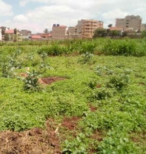 5 acre land for sale in kasarani v3g6s