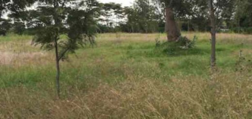 5 acres of land for sale in muranga rdddv