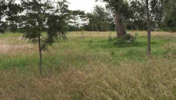 5 acres of land for sale in muranga rdddv