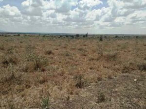 88 acre land for sale in isinya iwseo