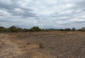 Mkaazi Kithimani land for sale 7 7443192 1156x785 1