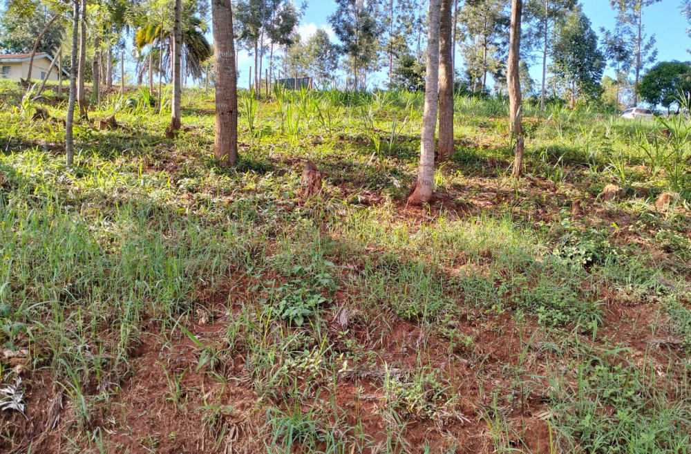 Land for Sale in Tetu Nyeri: Your Gateway to Tranquil Real Estate in ...