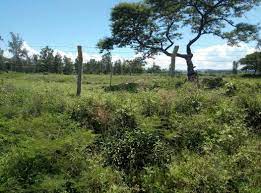 land for sale in muhoroni