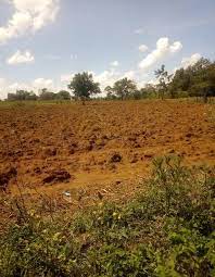 land for sale in kakamega