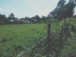 land for sale in gambogi