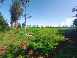 land for sale in maragua