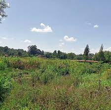 Land for Sale in Gatitu Nyeri