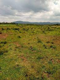 land for sale in matanya