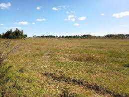 Land for Sale in Londiani