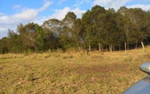 Land for Sale in Muruguru Nyeri