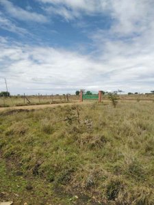 eighth acre plots for sale in shalom gardens machakos k3em8