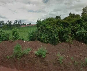 land for sale in banana kiambu