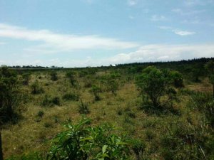 plots for sale in gilgil