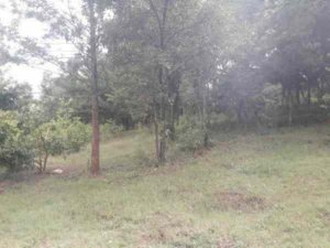 land for sale in makuyu beg94