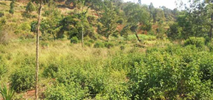 land for sale in nyeri ydgpo