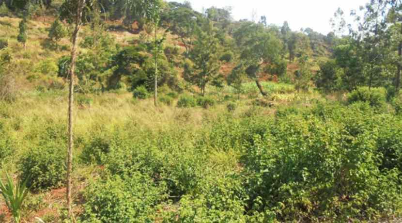land for sale in nyeri ydgpo