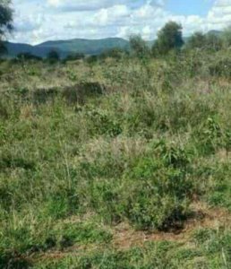 land for sale in rumuruti laikipia county o6tvp