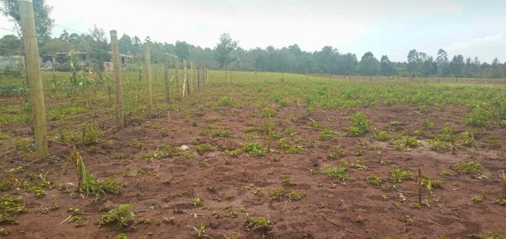 quatre acre for sale in ngong kibiko kby6t