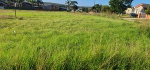 vacant land stand for sale strelitzia park 1338400 photo 3 1024x478 1