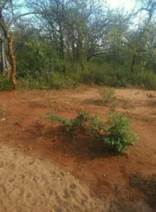 land for sale in kiboko 