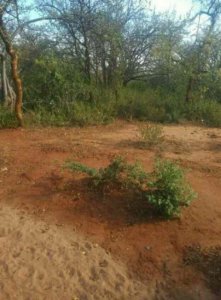 plots for sale in kibwezi town
