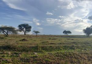 1200 acres prime land for sale in kajiado 3 km from namanga road ksh 6macre OBicJBXZYjNHm7863lFu