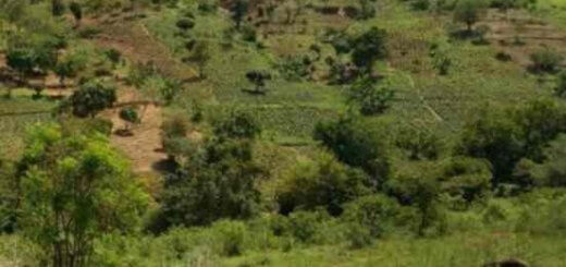 2000 acres in embu kiritini for sale nourw