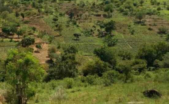 2000 acres in embu kiritini for sale nourw