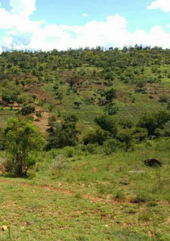 2000 acres in embu kiritini for sale nourw