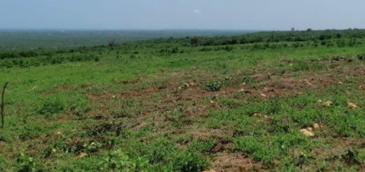 28 acres land for sale in Malindi 004 592x444 1 1
