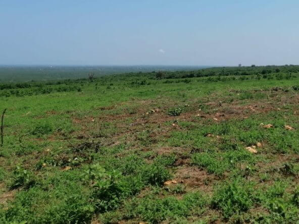 28 acres land for sale in Malindi 004 592x444 1 1