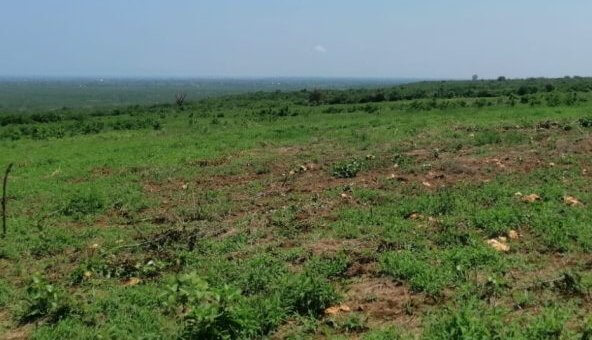 28 acres land for sale in Malindi 004 592x444 1