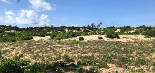 5 acre beach plot mjanaheri q7v1im4rseidtg115zw1dhmvaa95h0vu9lxnv96wkw