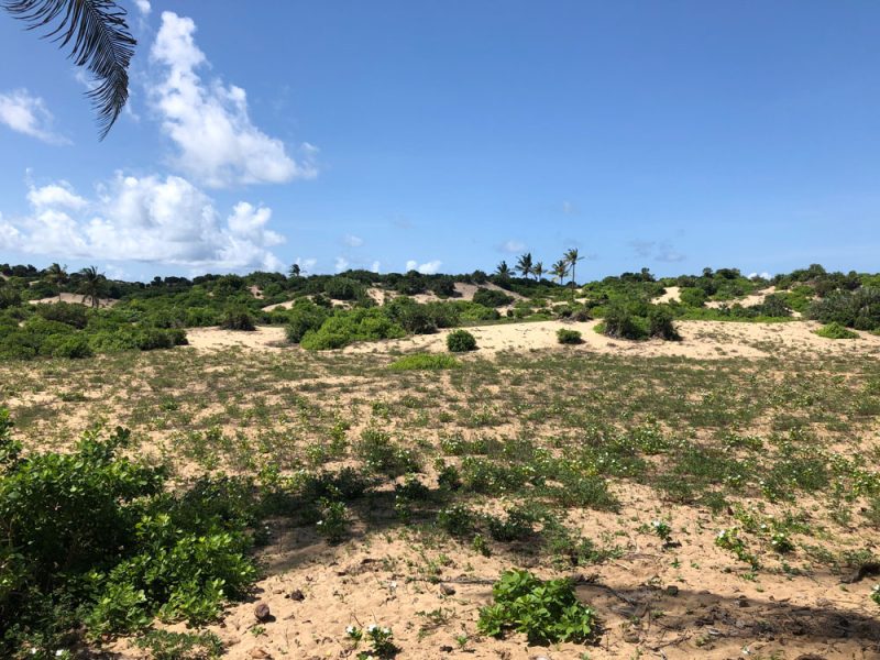 5 acre beach plot mjanaheri