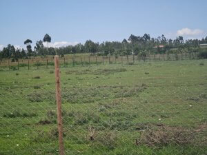 Land for Sale in Tana River