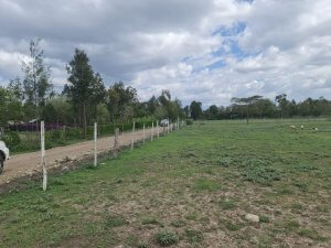 land for sale in mitunguu