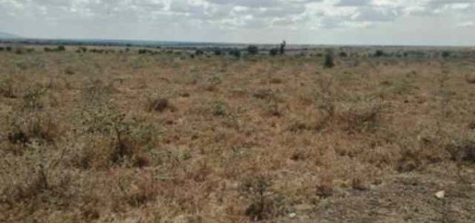 88 acre land for sale in isinya iwseo 1
