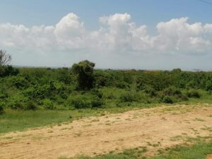 9 acres land for sale in Malindi 001 592x444 1 1