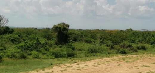 9 acres land for sale in Malindi 001 592x444 1