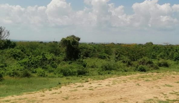 9 acres land for sale in Malindi 001 592x444 1