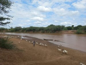 Farm land for sale in Tana River 2800 acres 1 592x444 1