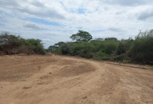 Farm land for sale in Tana River 2800 acres 3 1156x785 1