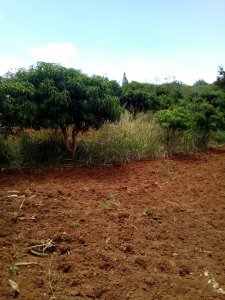 agricultural land for sale in makueni
