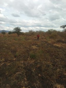 land for sale in mukuyuni