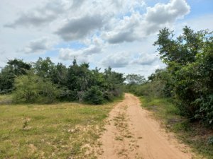 Kakoneni 23o acres for sale 1809220 592x444 1