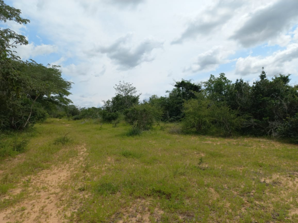 Kakoneni Malindi 230 Agricultural land for sale 7242367 592x444 1