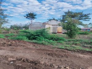 land for sale in runogone meru