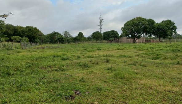 Mkaazi 1acre Ganda for sale 6 5660264 592x444 1