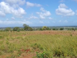 Mkaazi Vista Ridge Kakuyuni Plots for sale 2 592x444 1